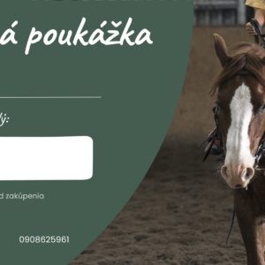 Jazdecký kurz (60 minút)